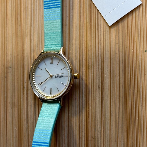 Skagen SKW Watch With 30mm White Mother of Pearl Face